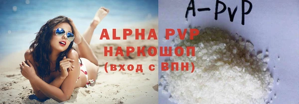 стафф Алексин
