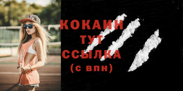 дживик Абинск