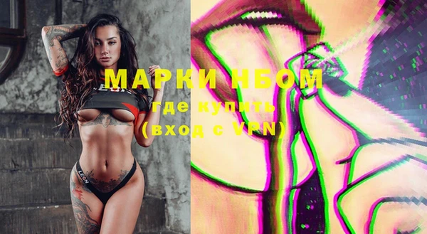 стафф Алексин