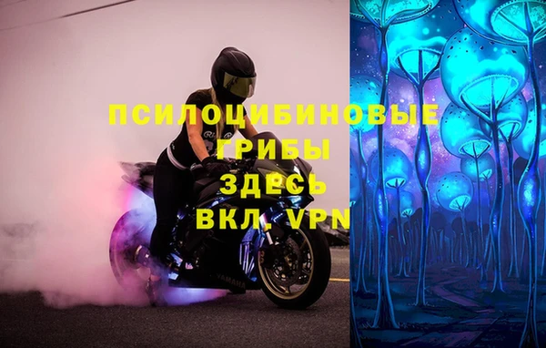 стафф Алексин