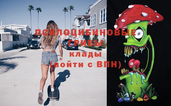 стафф Алексин