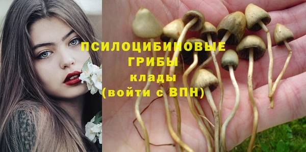 дживик Абинск