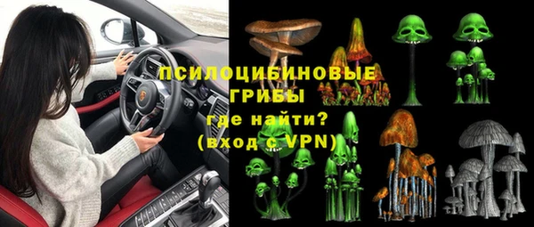 Альфа ПВП Абаза